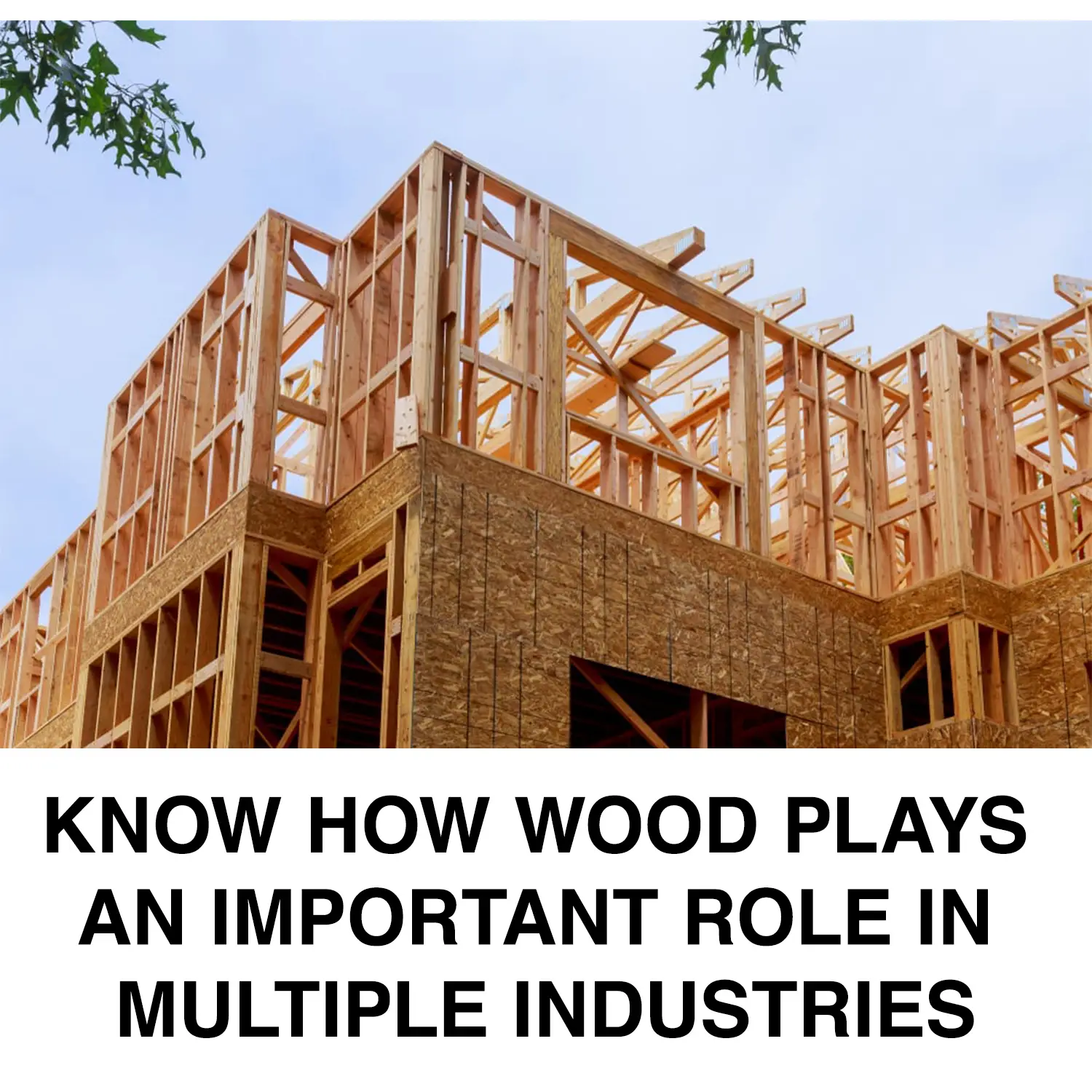 Know how wood plays an important role in Multiple Industries